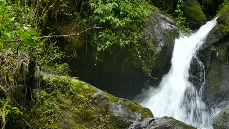 Pequeños-Pájaros-Volando-Frente-A-Una-Cascada-Que-Fluye-Rápidamente-En-El-Bosque-Tropical