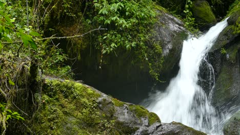 small birds flying in front of a fast flowing waterfall in tropical forest