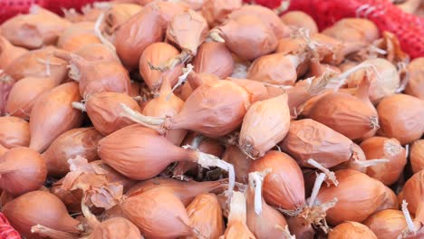 small onions in a basket