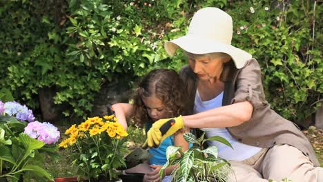 old woman and her granddaughter gardening together