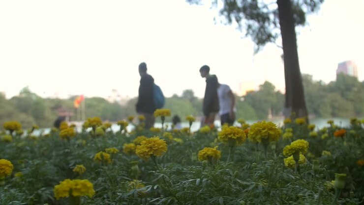 Tracking Along a Flower Bed in Hanoi Park