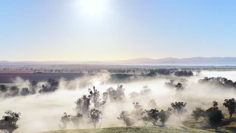 drone footage glides above misty rural hills at sunrise, revealing scattered trees, rolling farmland, and soft morning fog under clear blue skies