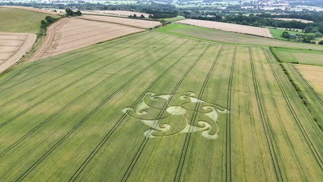 Etchilhampton swirling flower crop circle formation aerial view circling Wiltshire wheat meadow