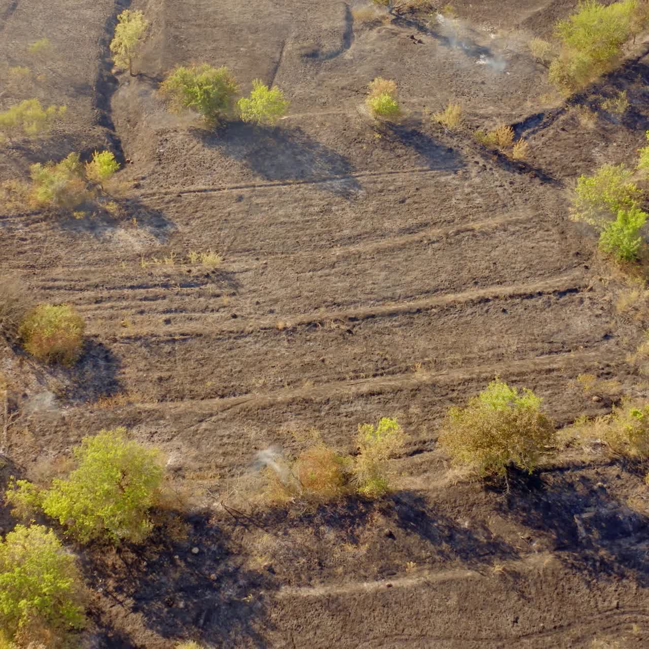 Drone view of fire on field