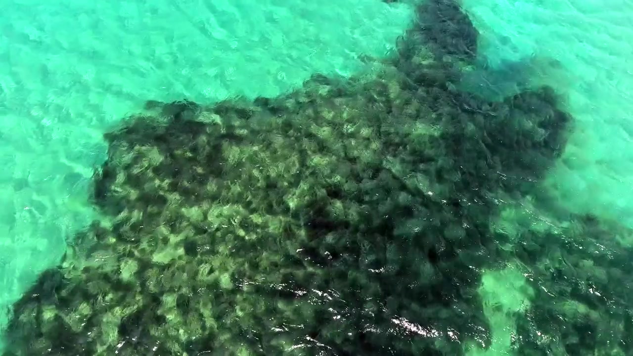 Aerial View of Clear Turquoise Water Over Rocky Seabed