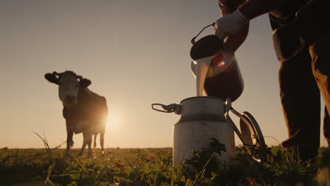 farmer pours milk into can at sunset 1