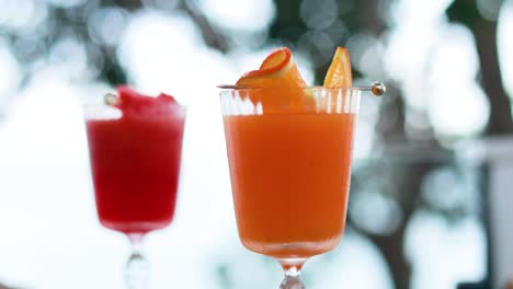 orange and watermelon juices in tropical setting