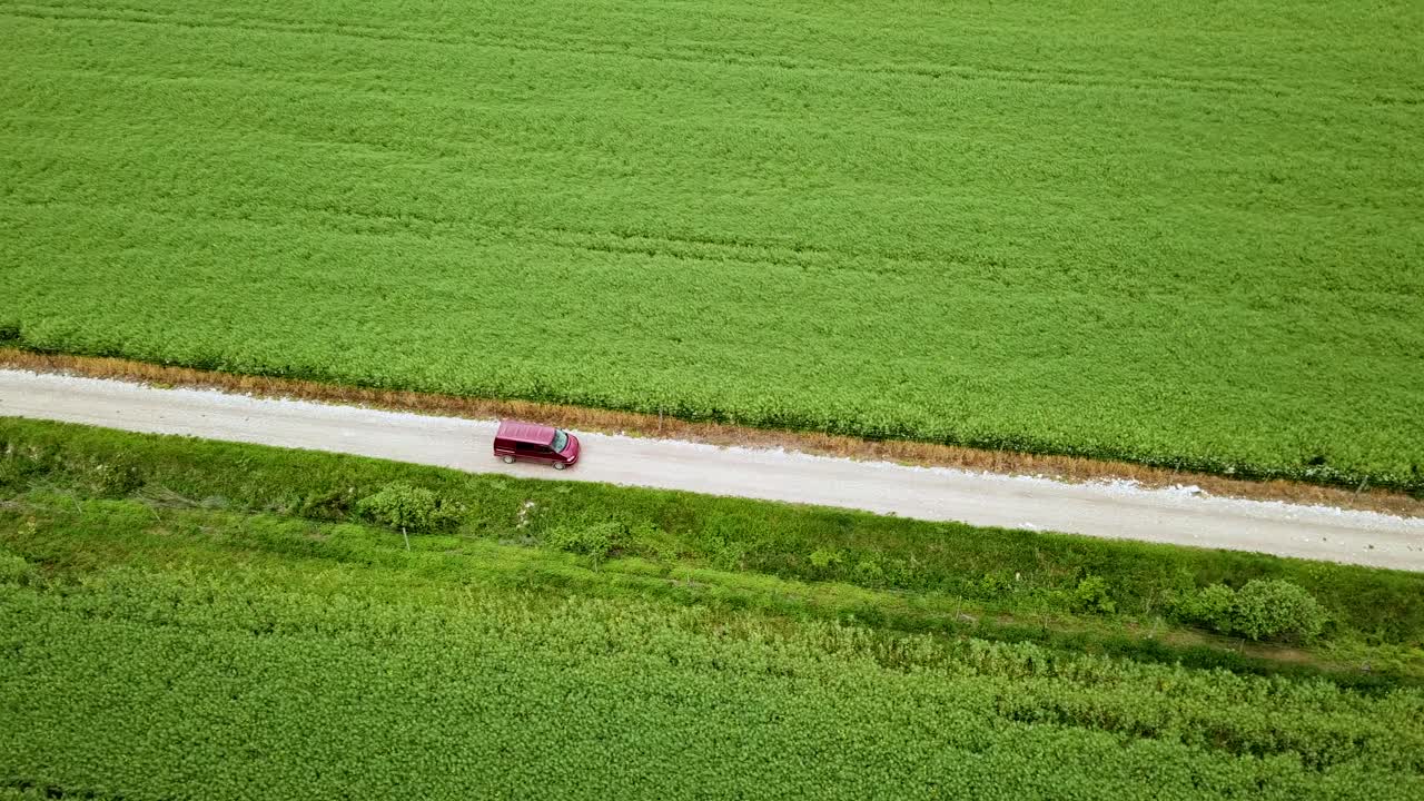 녹색 농업 분야 헝가리 유럽 사이의 자갈 도로에서 운전하는 claret van의 공중 풍경 옆으로 샷