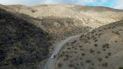 vista detrás de un coche blanco conduciendo en las colinas del desierto con plantas, california