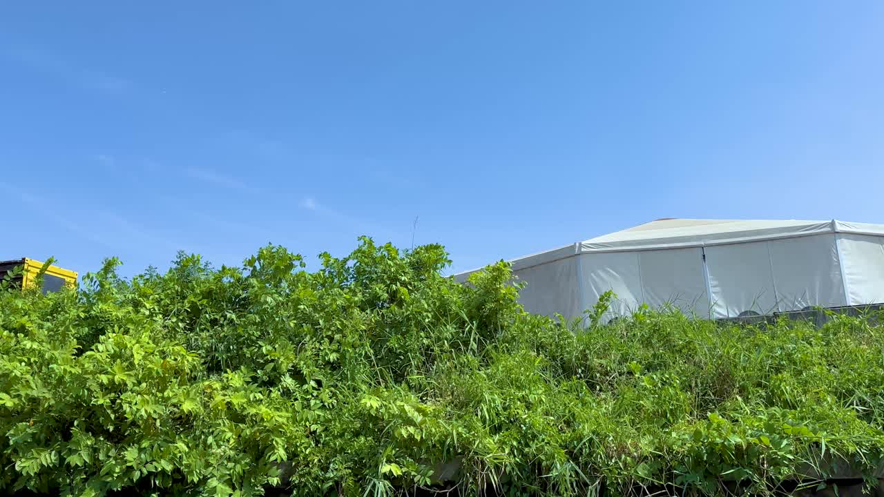 운하 의 울창한 초록색과 구조물