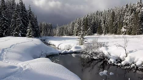 Coniferous-Forest-And-Gold-Creek-On-A-Snowy-Field-On-A-Winter-Sunny-Day-In-Snoqualmie-Pass