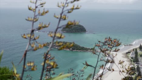 coastal landscape with islands and flora