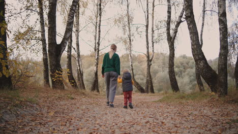 little child and his mother are walking together at forest holding hands back view family rest at autumn day exploring nature and enjoying fresh air