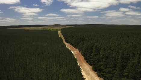 Aerial-drone-view-of-a-forest-in-Mount-Gambier,-South-Australia