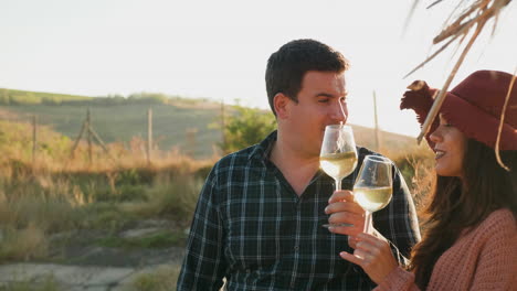 pareja haciendo sonar vasos con vino blanco