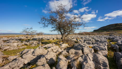 timelapse panorámico de tierras de cultivo de naturaleza rural con árboles y rocas molidas de campo en primer plano durante el día soleado de primavera visto desde carrowkeel en el condado de sligo en irlanda