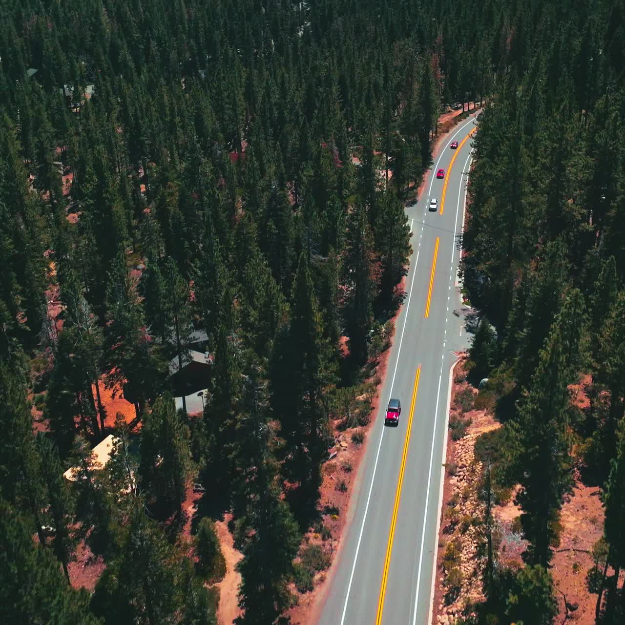 Cars driving by the motorway with yellow and white markup. Road through the pine tree woods from aerial perspective