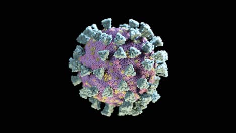 coronavirus structure illustration