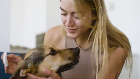 Close-up-view-of-a-dog-and-woman-at-home