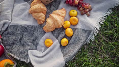 draufsicht auf ein picknick auf einer decke mit früchten und croissants