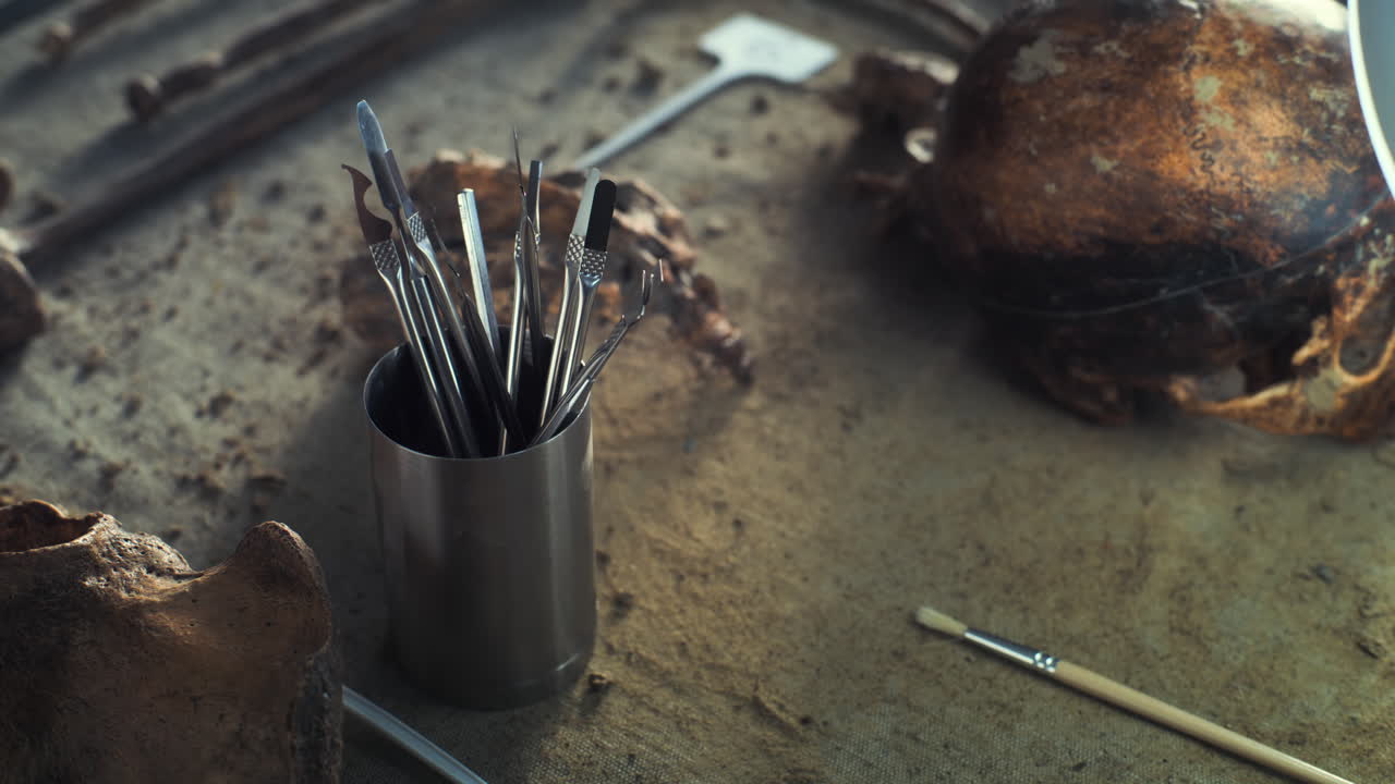 investigación y análisis arqueológicos