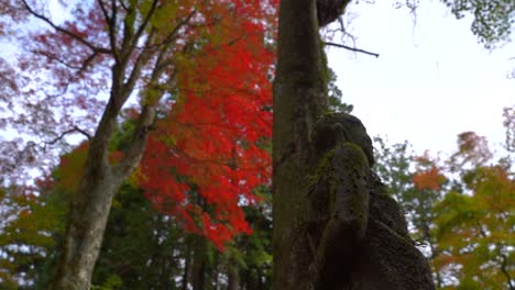 Typische-Herbstlandschaft-Auf-Dem-Japanischen-Tempelgelände-Mit-Buddhistischer-Steinstatue