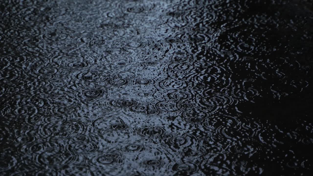 en la temporada de lluvias, el este de la india recibe fuertes lluvias durante la temporada de lluvias