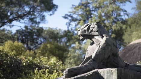 Beautiful-tiger-sculpture-guarding-the-entrance-of-a-home-on-South-Africa--Close-up