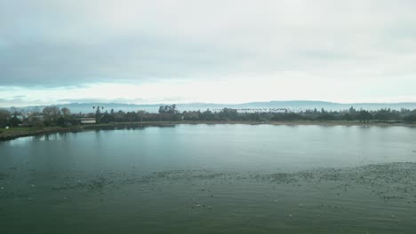 scenic drone shot of crab cove in alameda, california, highlighting the meeting of land and sea with gentle waves and sandy beaches.