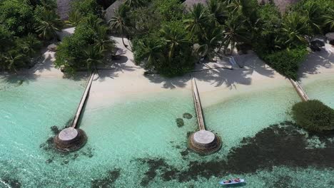 vista aérea de la hermosa isla de maldivas, océano azul playa de arena blanca naturaleza palmeras tropicales