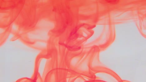 red food coloring swirling in a container of water