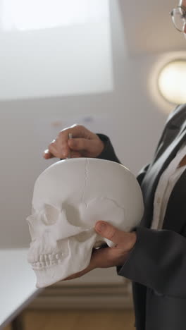 human skull anatomical model being taught