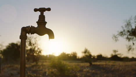 Agua-Del-Grifo-Que-Fluye-En-Una-Granja-Rural-Al-Atardecer-Agua-Dulce-Saliendo-Del-Grifo-Al-Aire-Libre-Desperdiciando-Escasez-De-Agua-En-Las-Tierras-De-Cultivo-Sequía