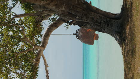 colgando de un árbol en una playa prístina - vertical