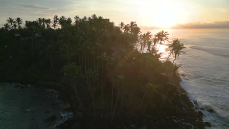 rotating aerial shot on a hill with some coconut trees next to the rough sea and the sunrise