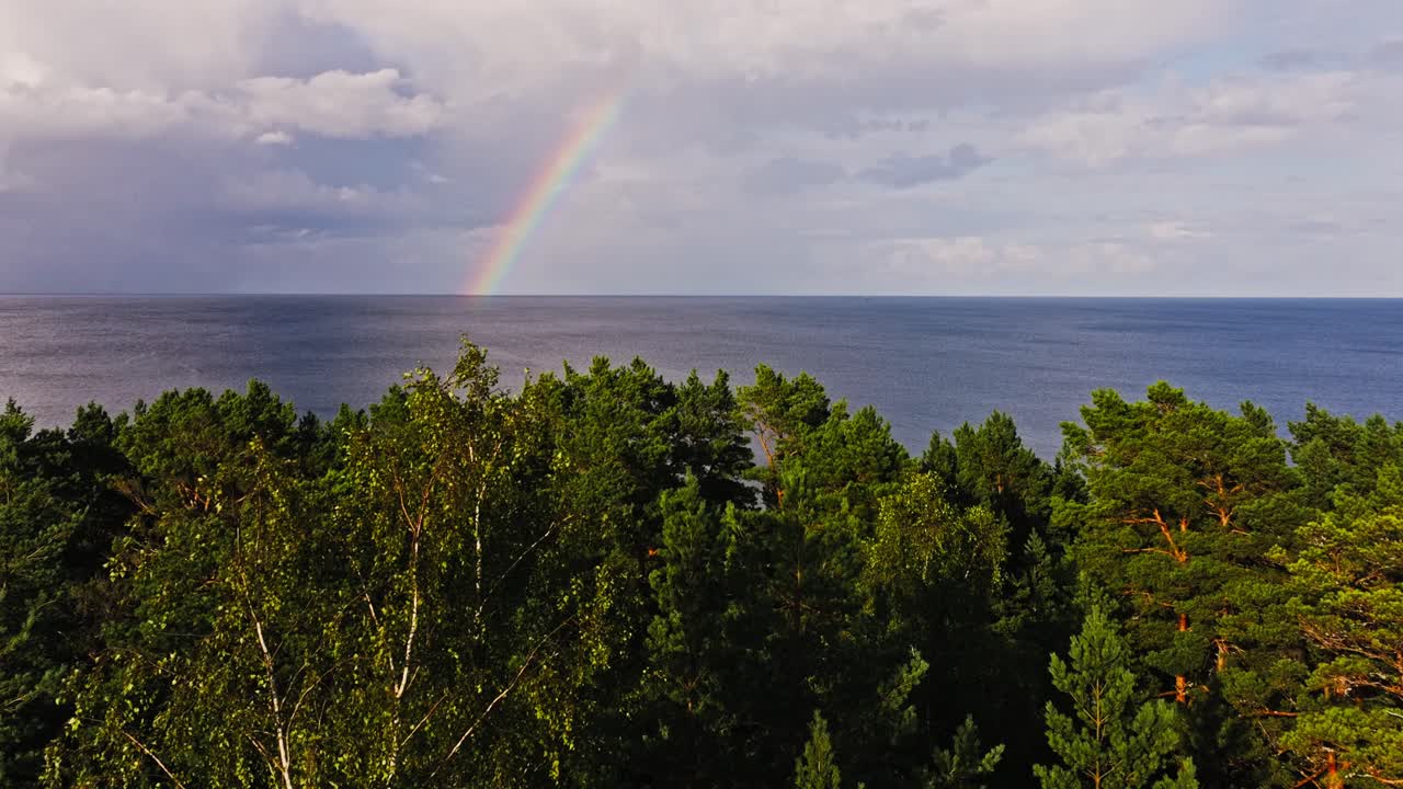 Magical aerial of rainbow over Baltic horizon as forest waves in gentle breeze
