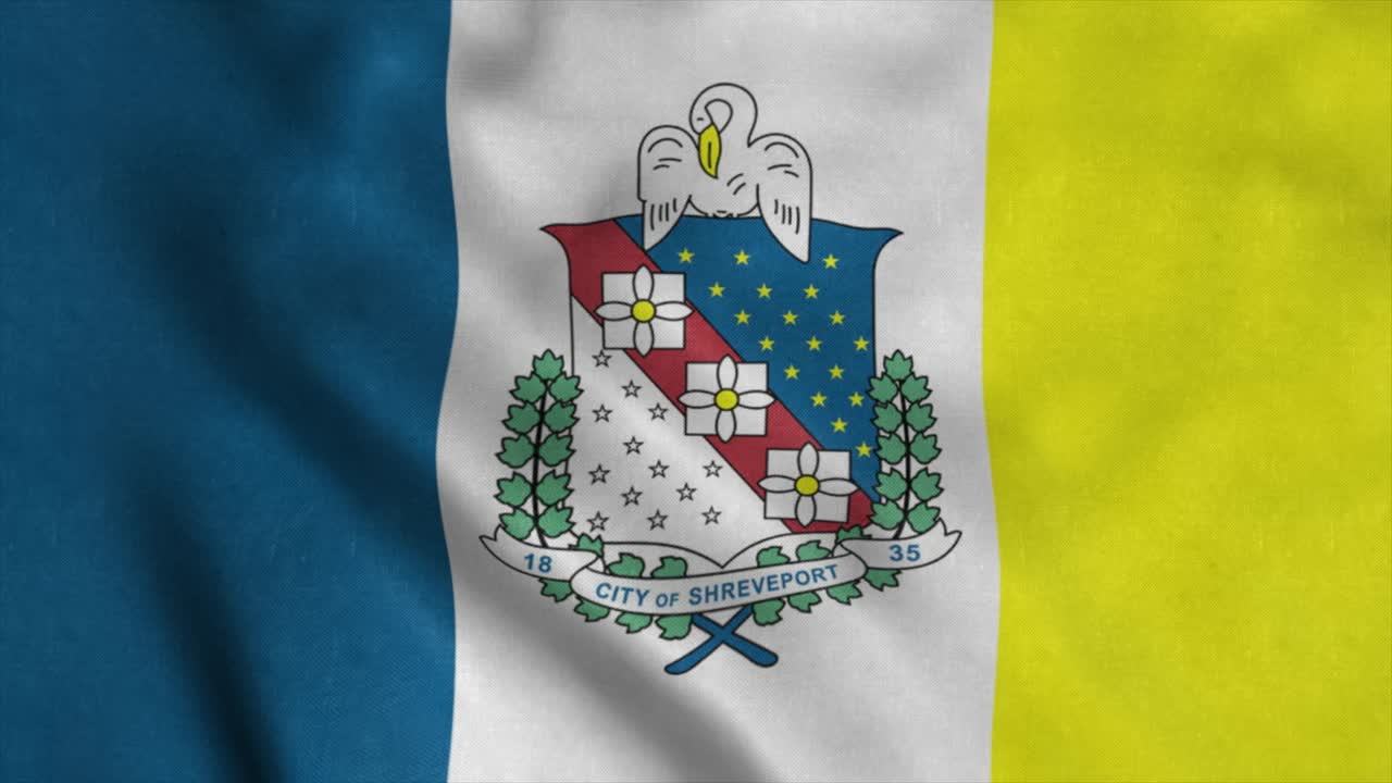 슈브포트 시의 발, 루이지애나, 미국, 바람에 흔들리는, 4k