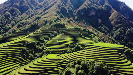 stunning rice terraces in the mountains
