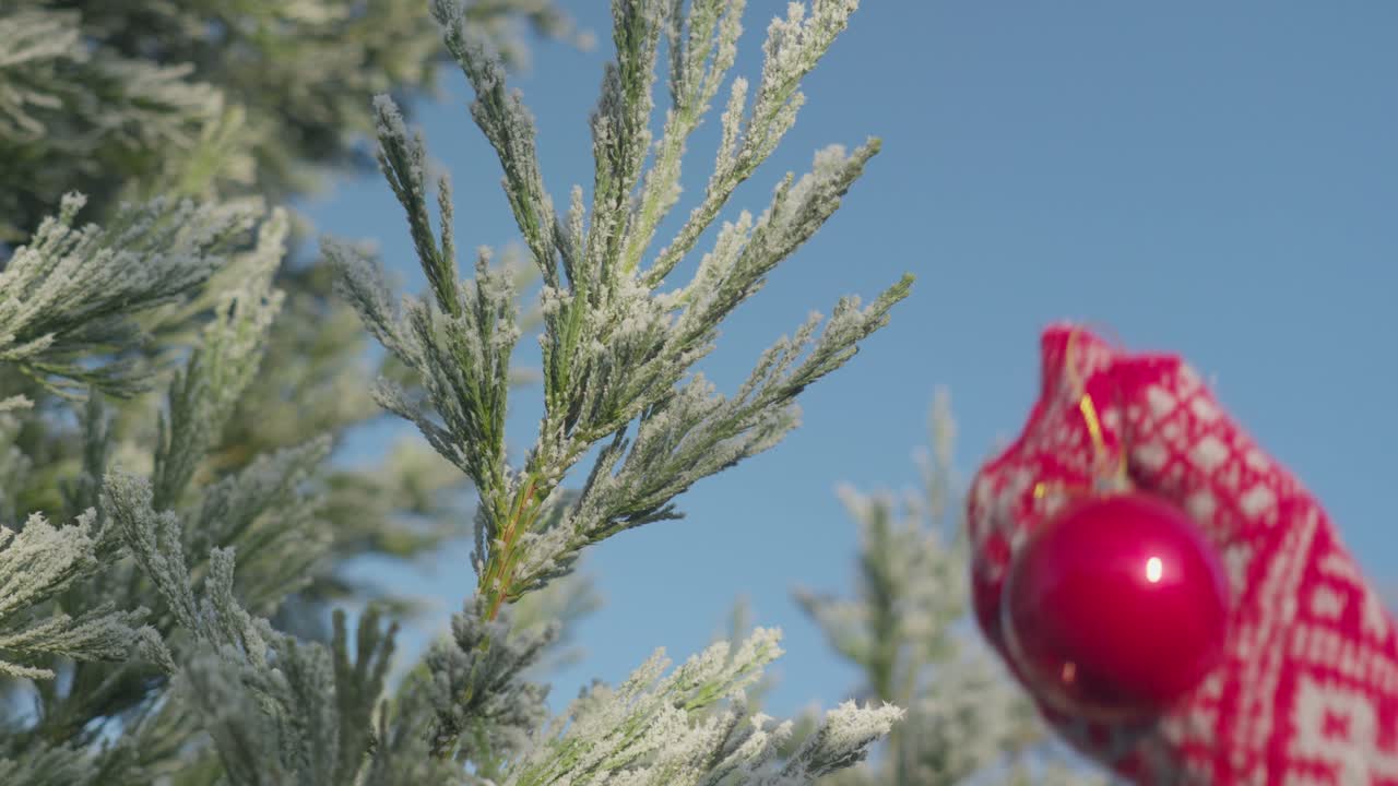 서리가 내린 푸른 하늘 화창한 날에 따뜻한 겨울 장갑에 빨간 크리스마스 거품을 따기