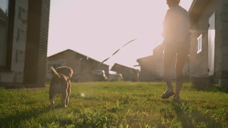 dog owner dragging leash as dog takes off happily across grassy field under bright sunlight, residential buildings in background creating warm glow