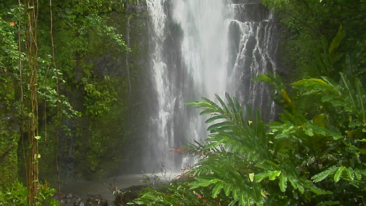 Una cascata tropicale scorre attraverso una fitta foresta pluviale alle Hawaii 1