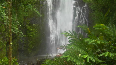 a tropical waterfall flows through a dense rainforest in hawaii 1