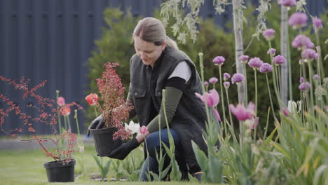 Una-Mujer-Planta-Flores-En-El-Jardín-Cerca-De-Su-Casa