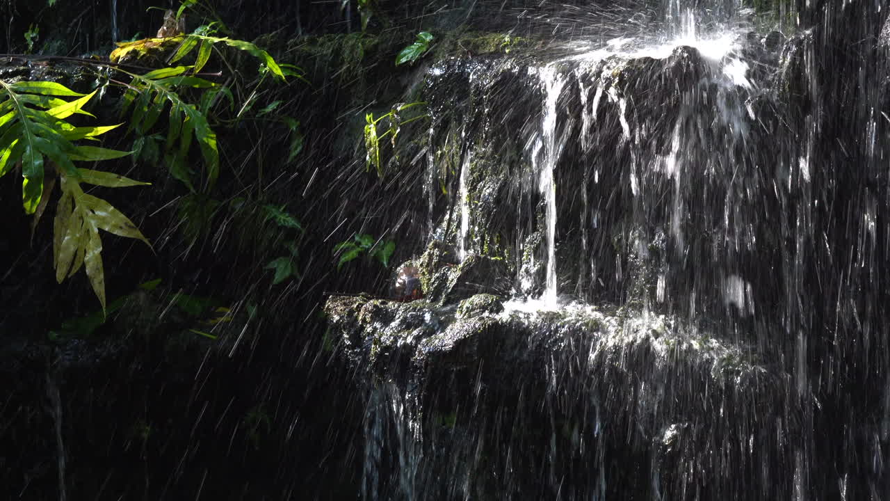 A small indoor manmade waterfalls with the water falling over the rocks and through the many tropical plants