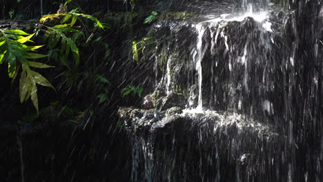 Ein-Kleiner-Künstlicher-Indoor-Wasserfall,-Bei-Dem-Das-Wasser-über-Die-Felsen-Und-Durch-Die-Vielen-Tropischen-Pflanzen-Fällt