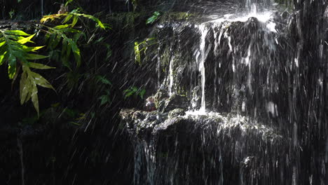 a small indoor manmade waterfalls with the water falling over the rocks and through the many tropical plants