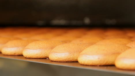 Bäckerei.-Lebensmittelproduktion.-Backwaren-In-Der-Lebensmittelfabrik.-Bäckereiherstellung