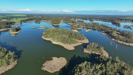 pan aéreo a través de las islas arboladas del lago mulwala hacia los campos de canola más allá