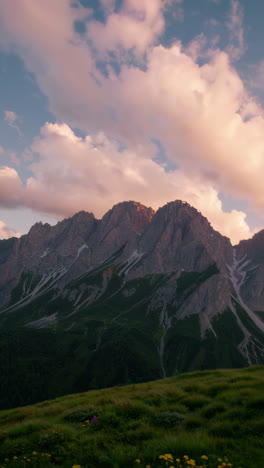 mountain meadow sunset