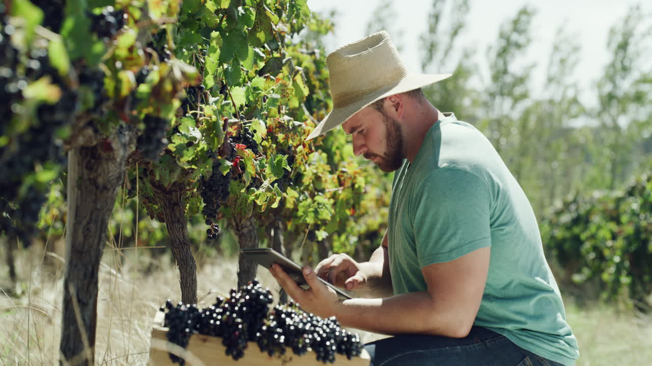 esto me ayudará a cultivar el lote perfecto
